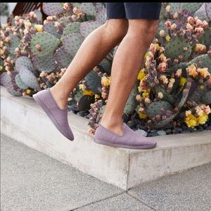 Allbirds Wool Loungers